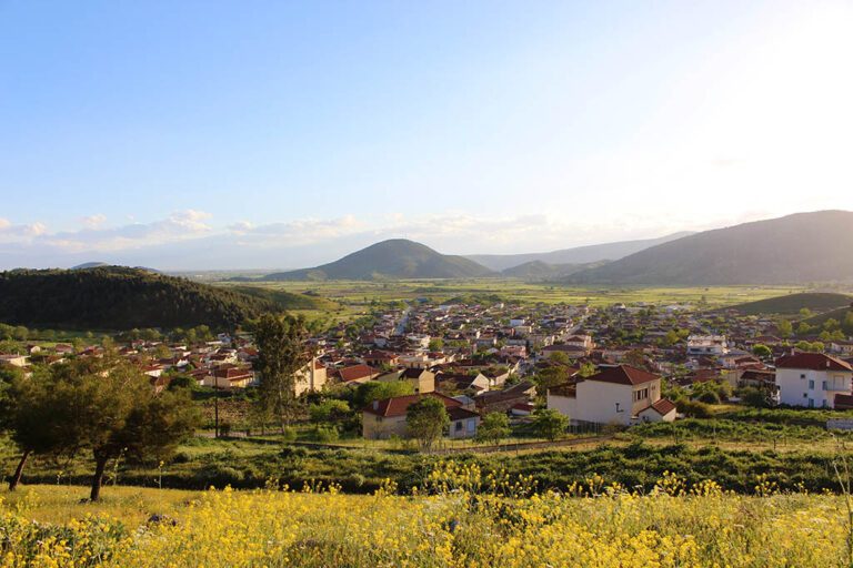 Αφιέρωμα στο Γριζάνο Αφιέρωμα στο Γριζάνο