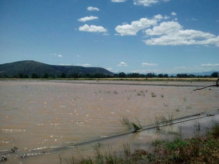 Οι ζημίες από τις πρόσφατες υπερβολικές βροχοπτώσεις και τις πλημμύρες του Πηνειού και των παραποτάμων του