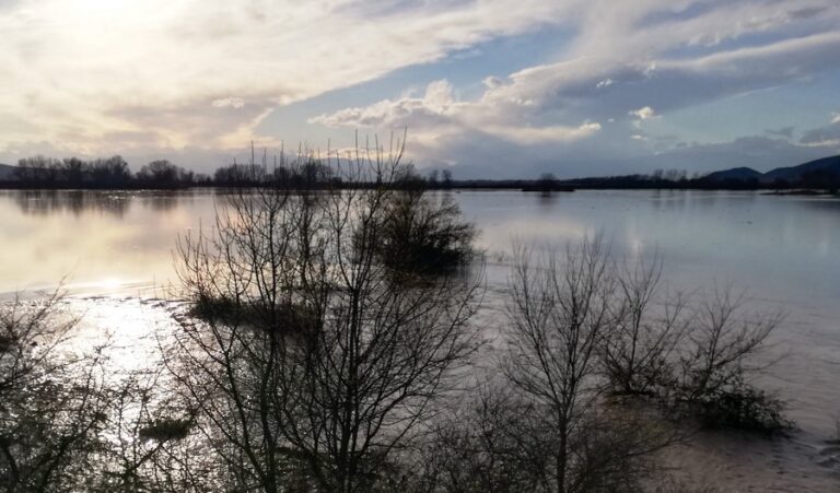 Υποβολή ενστάσεων από παραγωγούς της Πηνειάδας  λόγω των ζημιών του “Ιανού” Υποβολή ενστάσεων από παραγωγούς της Πηνειάδας  λόγω των ζημιών του “Ιανού”