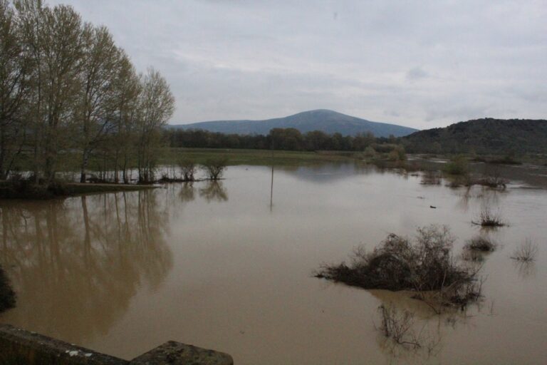 Πορίσματα εκτίμησης ζημιών από την βροχόπτωση της 26ης Σεπτεμβρίου 2020 και προθεσμίες ενστάσεων παραγωγών Πορίσματα εκτίμησης ζημιών από την βροχόπτωση της 26ης Σεπτεμβρίου 2020 και προθεσμίες ενστάσεων παραγωγών