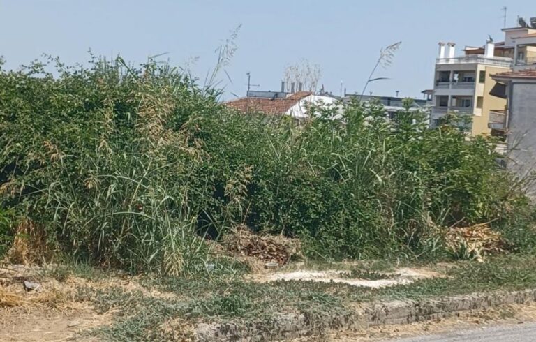 Τέλος ανοχής για τα ακαθάριστα οικόπεδα Τέλος ανοχής για τα ακαθάριστα οικόπεδα